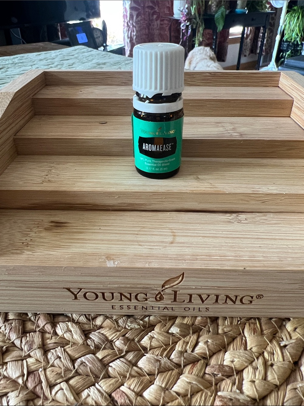Young Living AromaEase Essential Oil Bottle in Teal and White